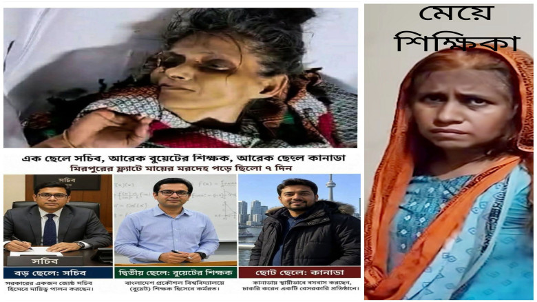 শুরু হয়েছে শীতের মৌসুম, শীতের ফুলে রঙিন প্রকৃতি